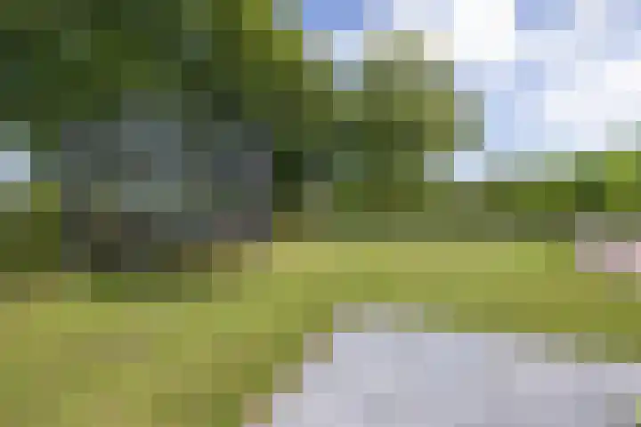 Noorderweg 20 Noordwijk thumbnail 32