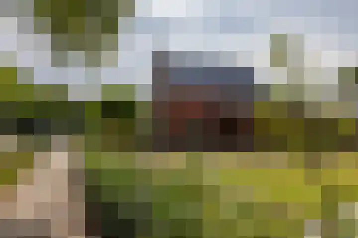 Noorderweg 20 Noordwijk thumbnail 38