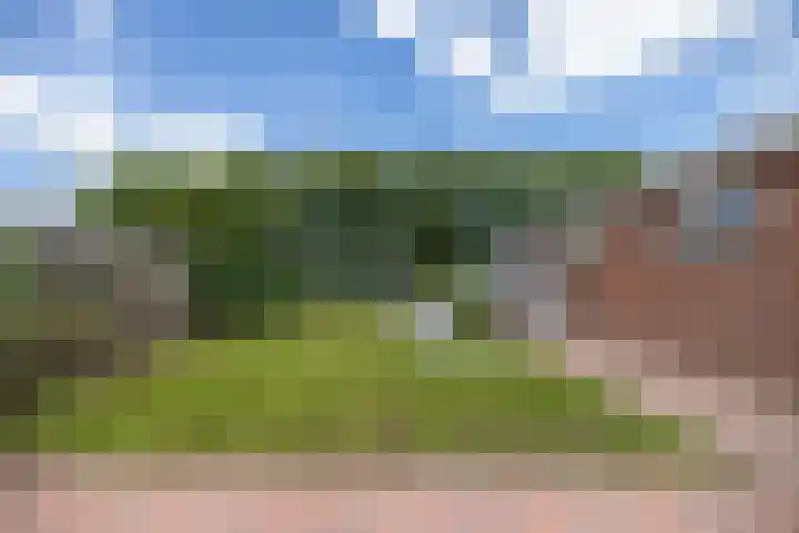 Noorderweg 20 Noordwijk thumbnail 4