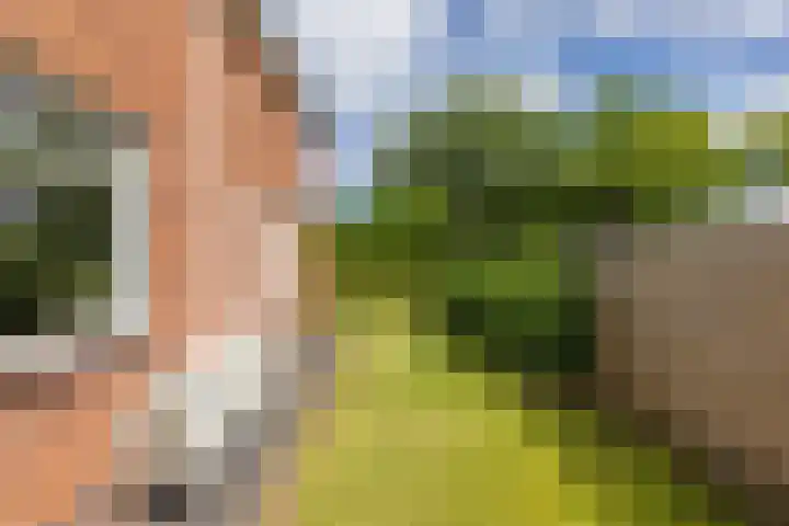 Noorderweg 20 Noordwijk thumbnail 40
