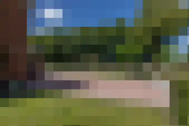 Noorderweg 20 Noordwijk thumbnail 5