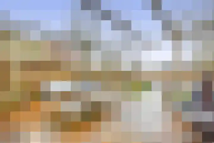 Noorderweg 20 Oudesluis thumbnail 24