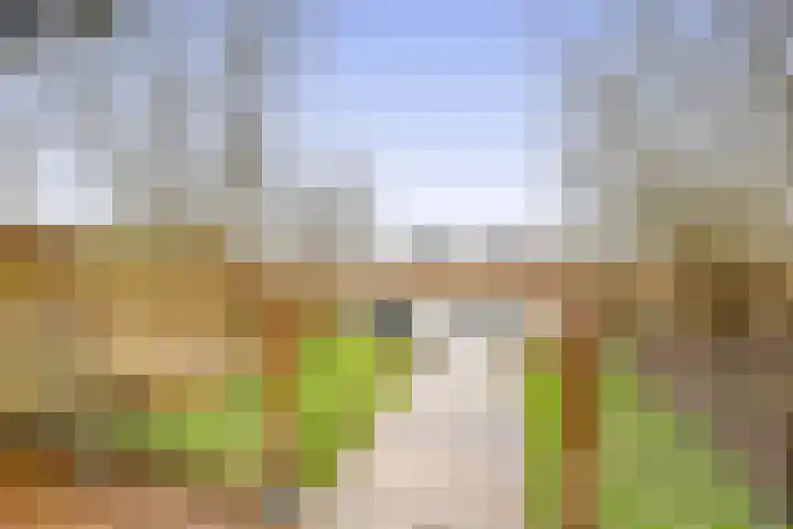 Noorderweg 20 Oudesluis thumbnail 25