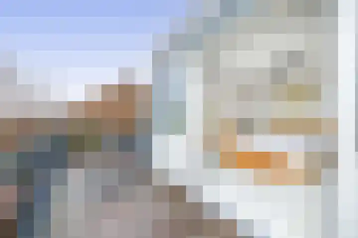 Noorderweg 20 Oudesluis thumbnail 36