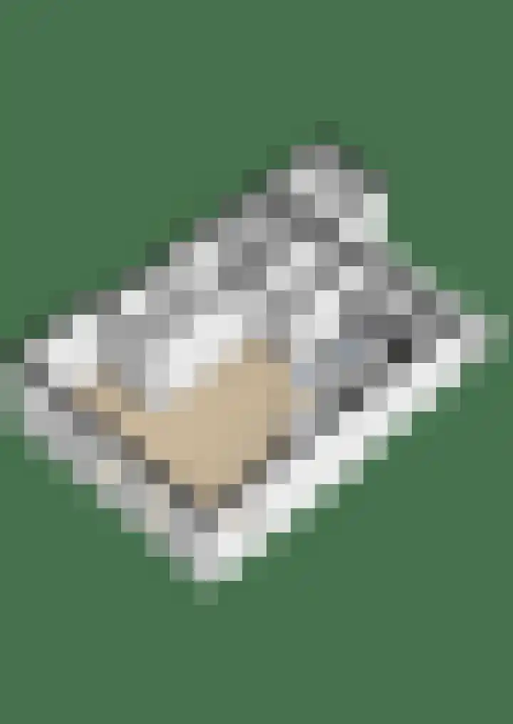 Noorderweg 20 Oudesluis thumbnail 55