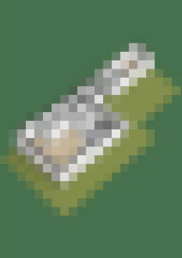 Noorderweg 20 Oudesluis thumbnail 64