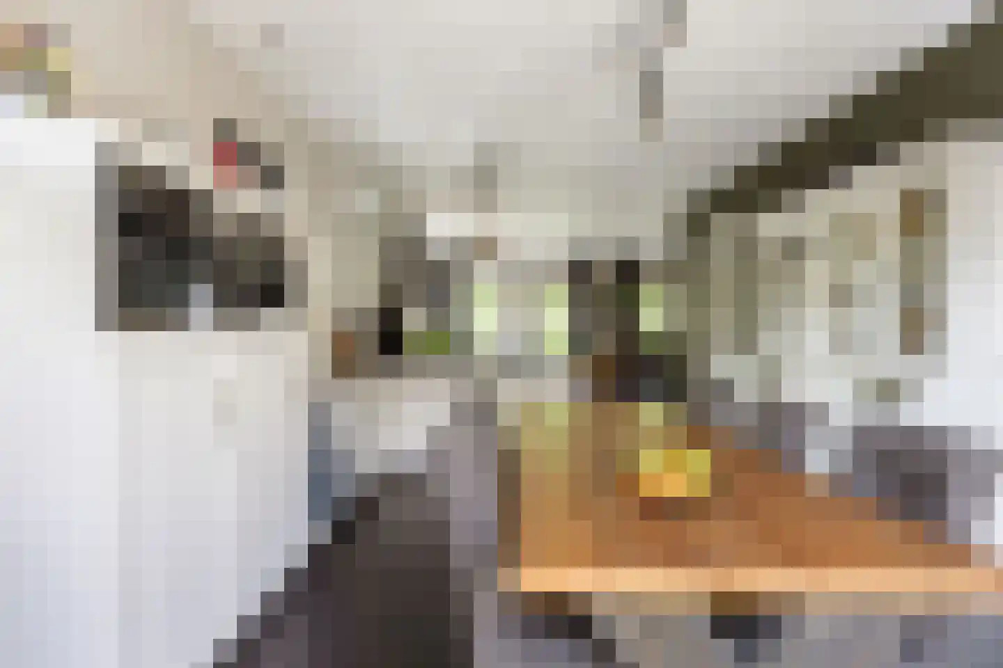 Noorderweg 21 Noordwijk thumbnail 27