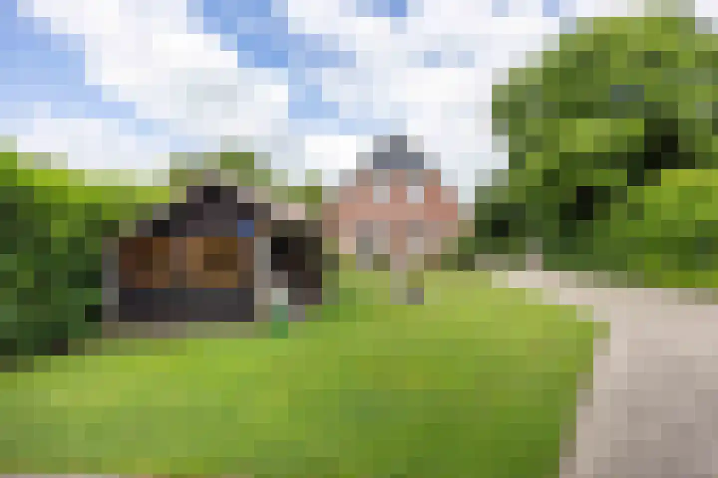 Noorderweg 21 Noordwijk thumbnail 64