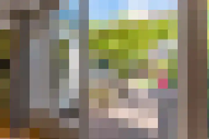 Noorderweg 210 Hilversum thumbnail 15