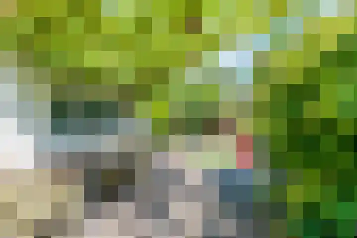 Noorderweg 210 Hilversum thumbnail 16