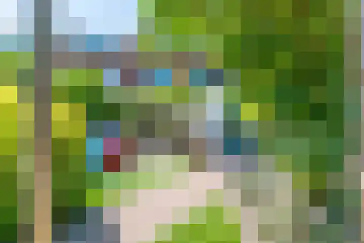 Noorderweg 210 Hilversum thumbnail 17