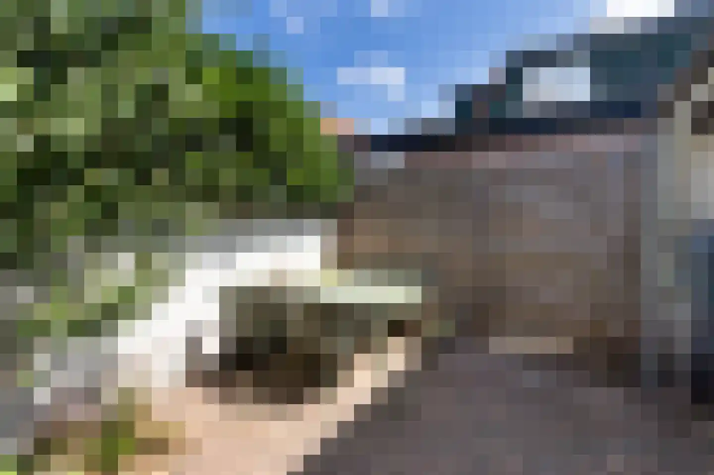 Noorderweg 24 Bussum thumbnail 14