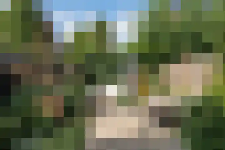 Noorderweg 26 Oosterbeek thumbnail 60