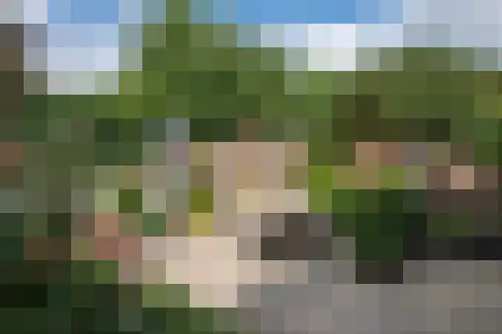 Noorderweg 26 Oosterbeek thumbnail 61