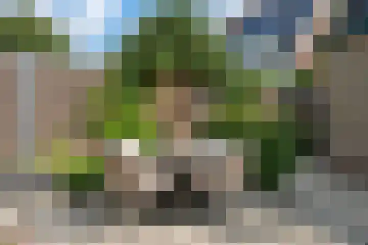 Noorderweg 26 Oosterbeek thumbnail 62