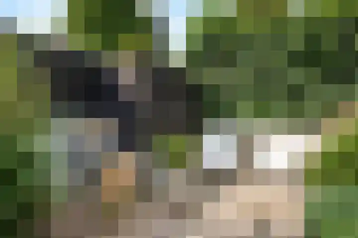Noorderweg 26 Oosterbeek thumbnail 63