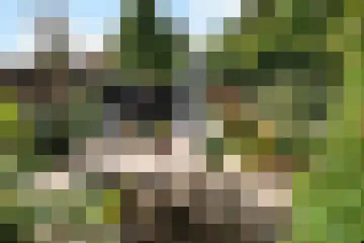 Noorderweg 26 Oosterbeek thumbnail 64