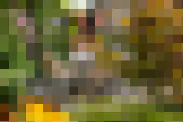 Noorderweg 26 Oosterbeek thumbnail 65