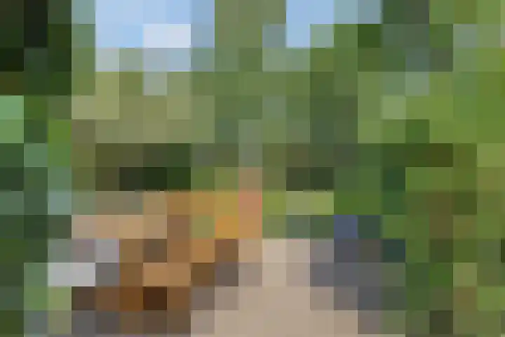 Noorderweg 27 Oosterbeek thumbnail 33