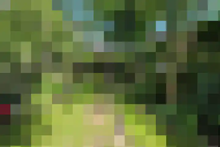 Noorderweg 27 Oosterbeek thumbnail 36