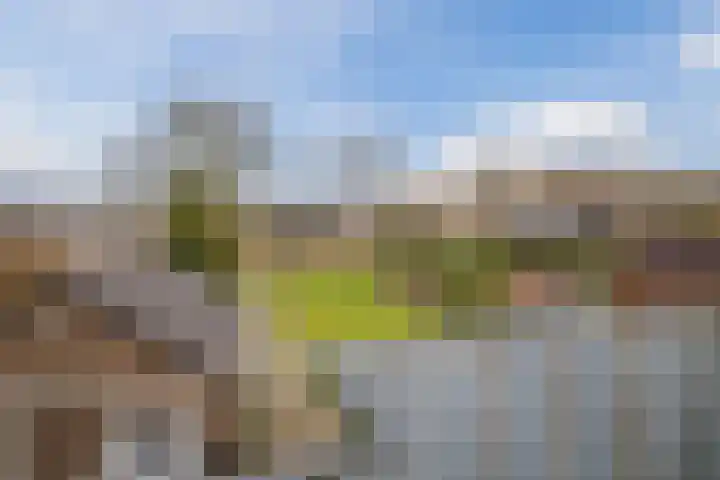 Noorderweg 28 Hoogeveen thumbnail 30