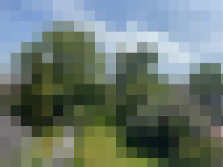 Noorderweg 28 Hoogeveen thumbnail 31