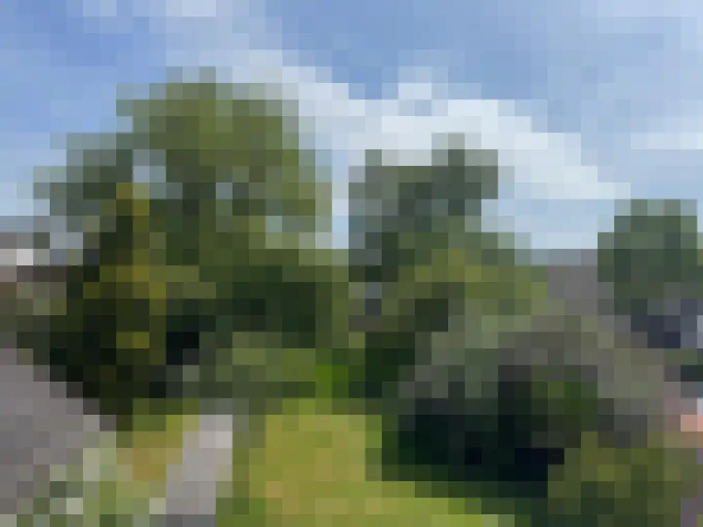 Noorderweg 28 Hoogeveen thumbnail 31