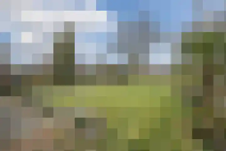 Noorderweg 28 Hoogeveen thumbnail 58