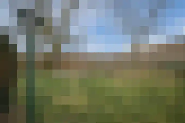 Noorderweg 28 Hoogeveen thumbnail 59