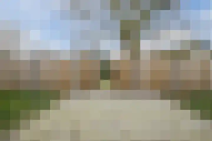 Noorderweg 28 Hoogeveen thumbnail 61