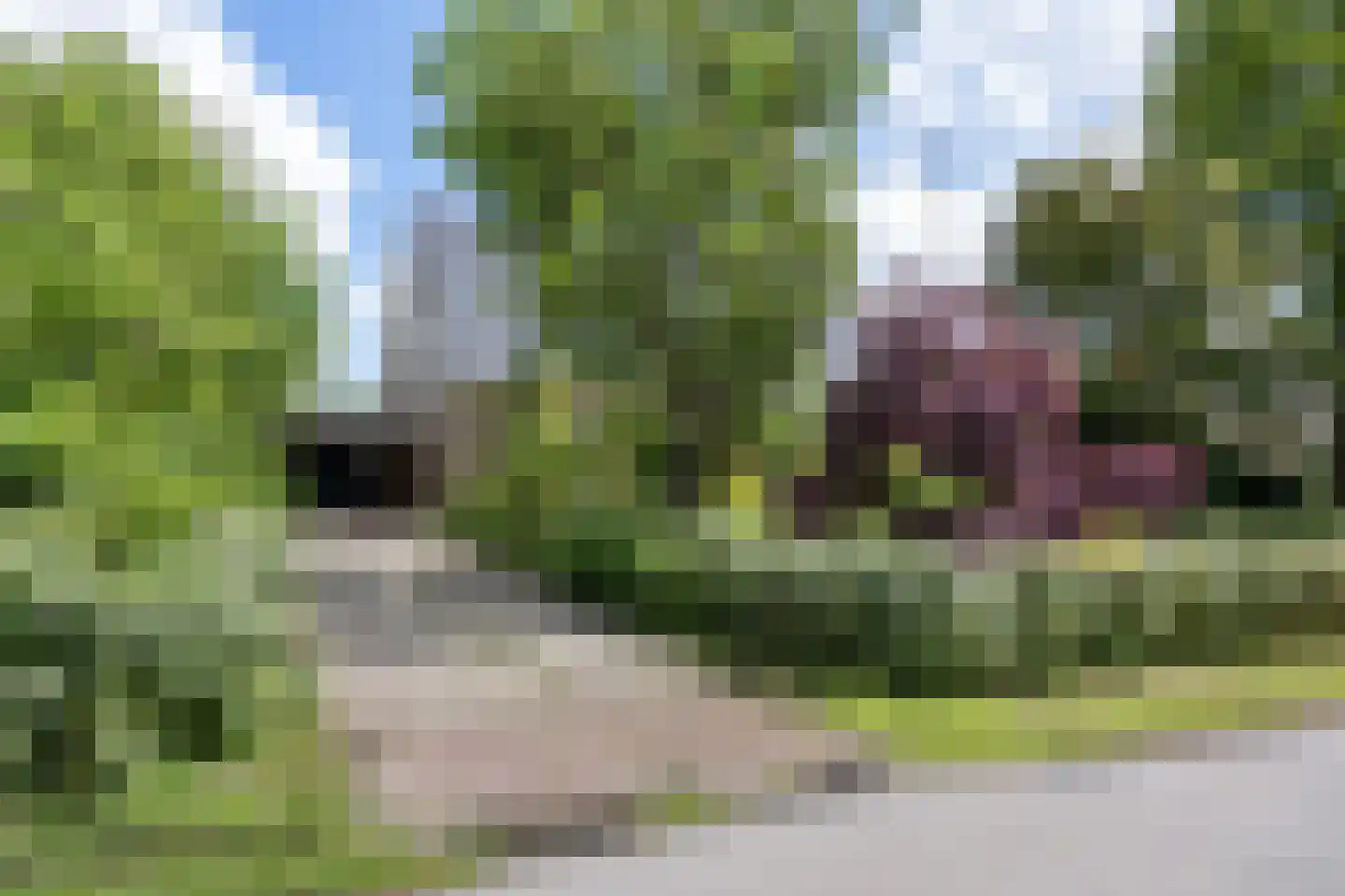 Noorderweg 3 Marum thumbnail 12