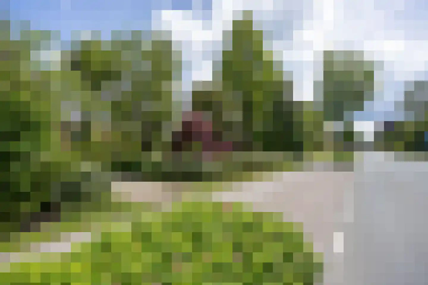 Noorderweg 3 Marum thumbnail 13