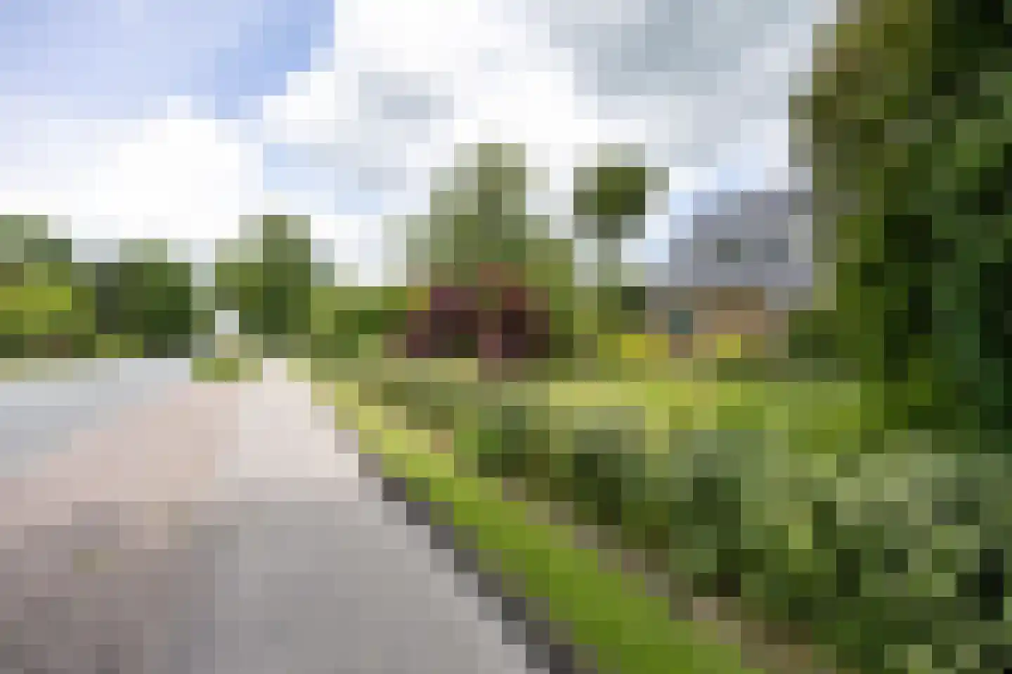 Noorderweg 3 Marum thumbnail 15