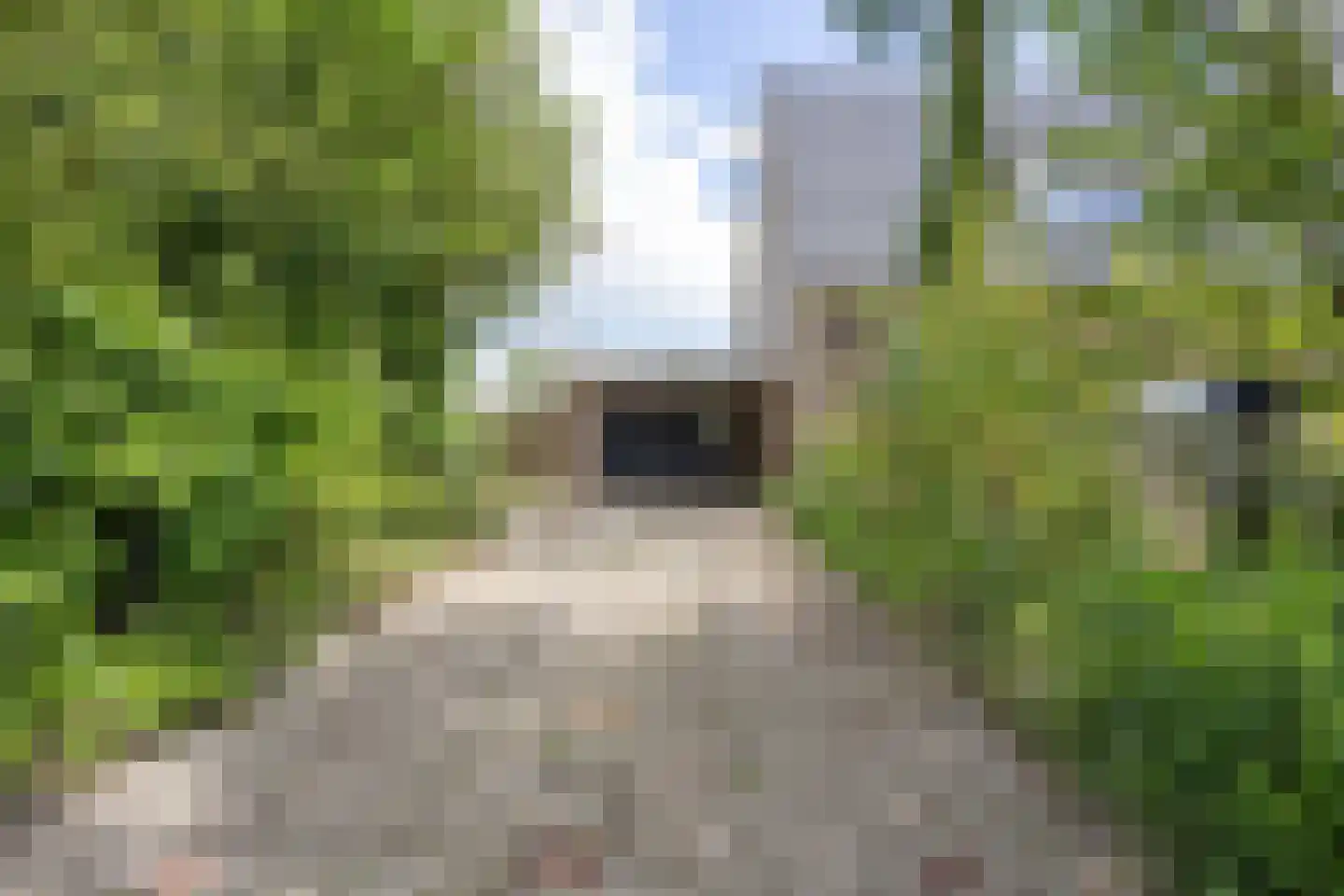 Noorderweg 3 Marum thumbnail 16