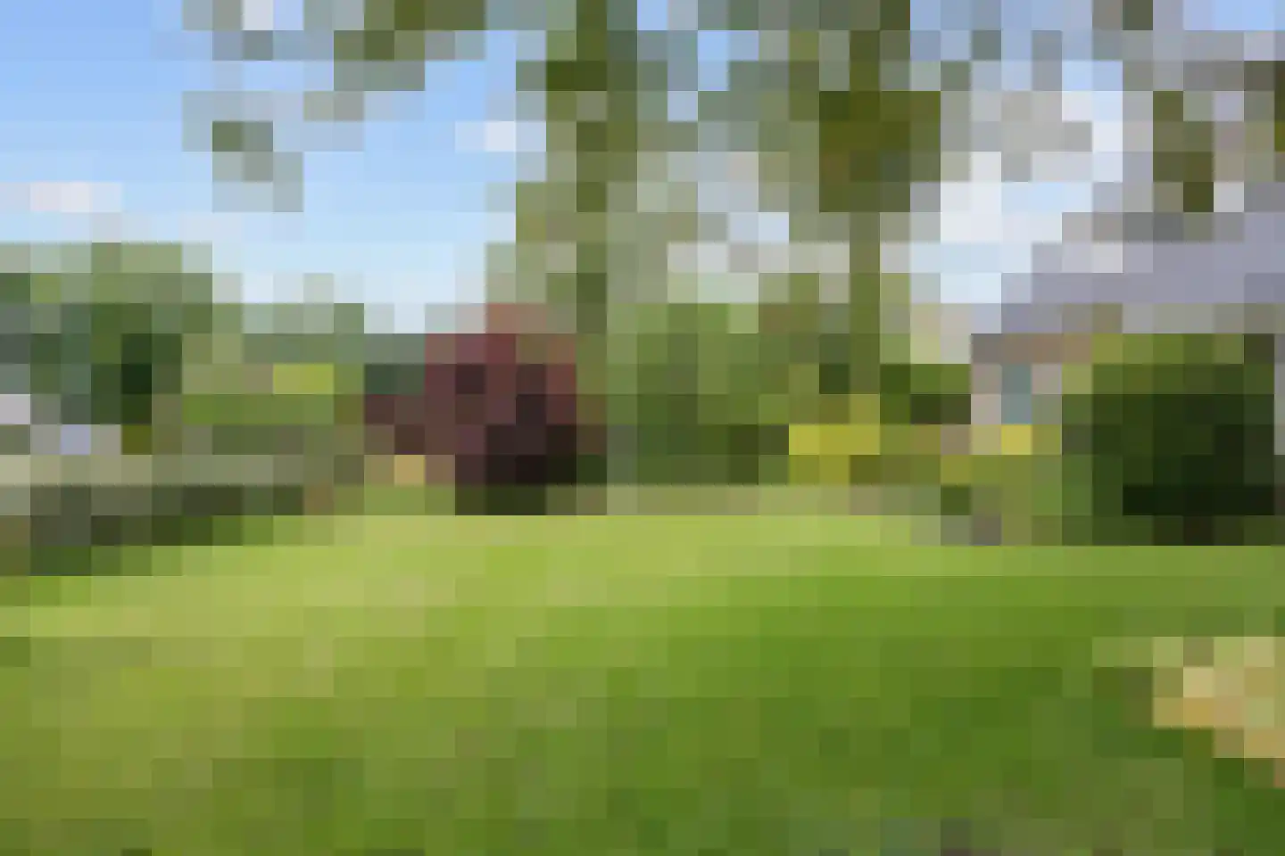 Noorderweg 3 Marum thumbnail 19