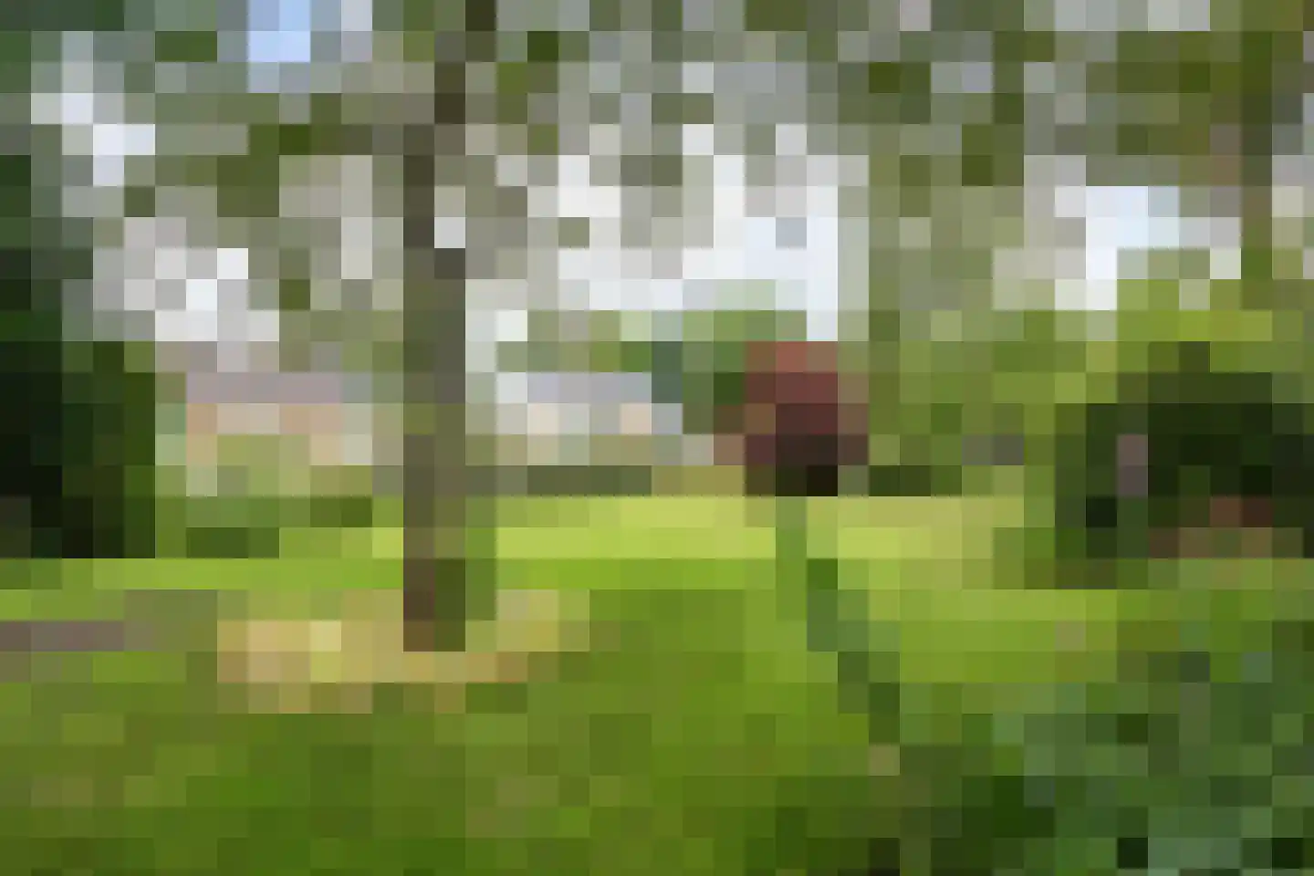 Noorderweg 3 Marum thumbnail 20