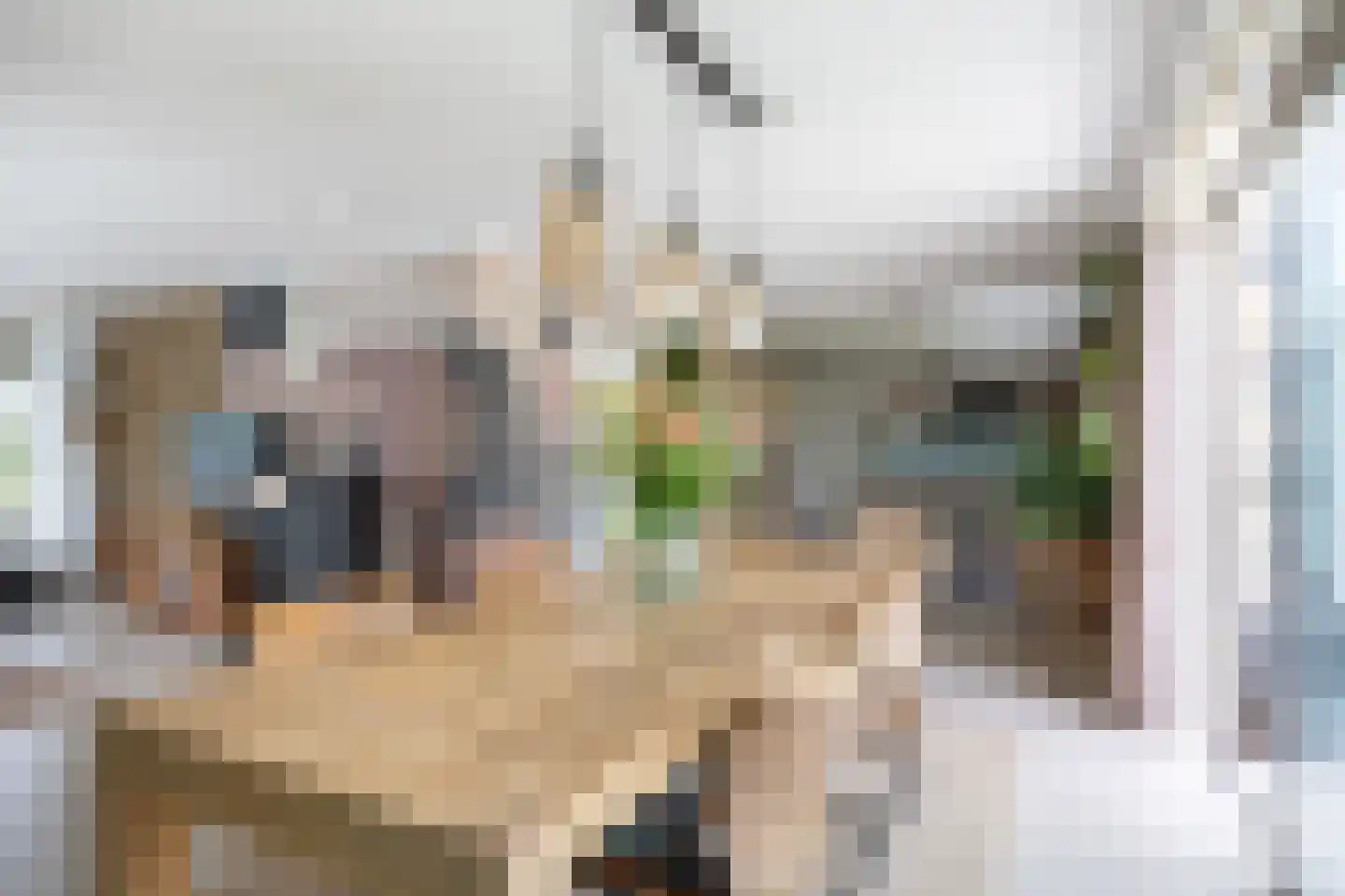 Noorderweg 3 Marum thumbnail 32