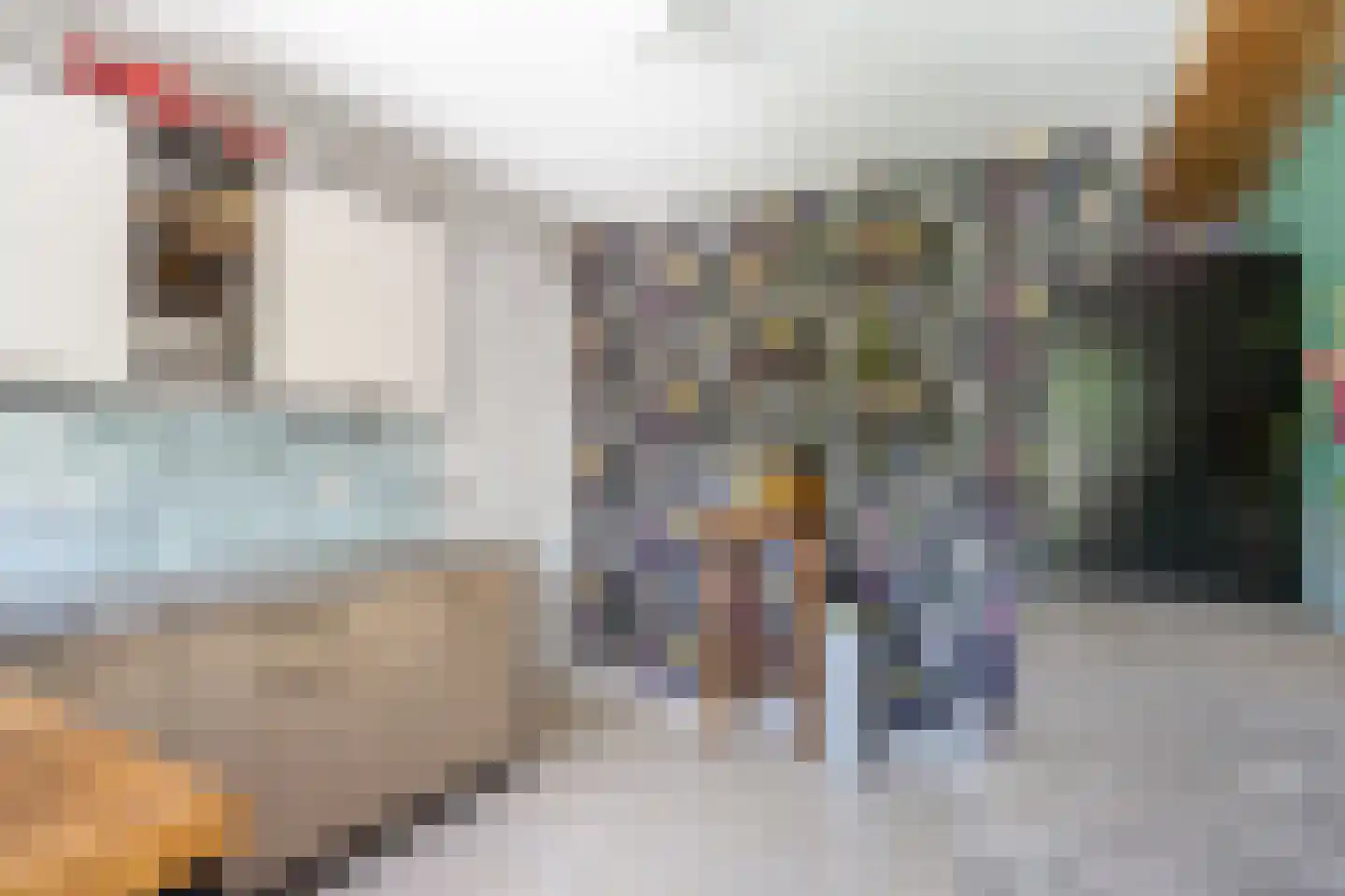 Noorderweg 3 Marum thumbnail 46