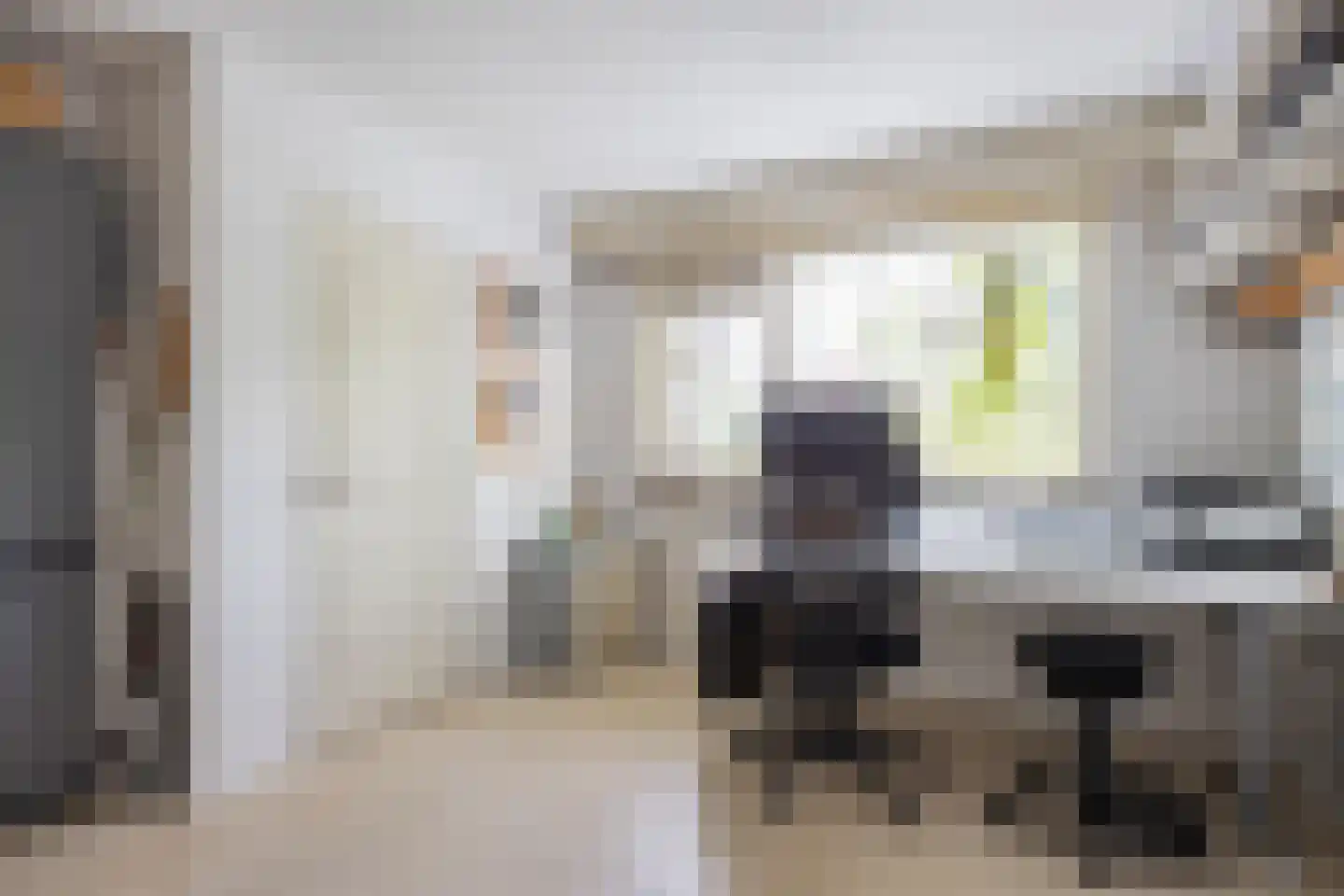 Noorderweg 3 Marum thumbnail 48