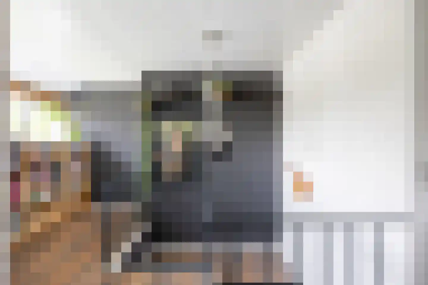 Noorderweg 3 Marum thumbnail 53