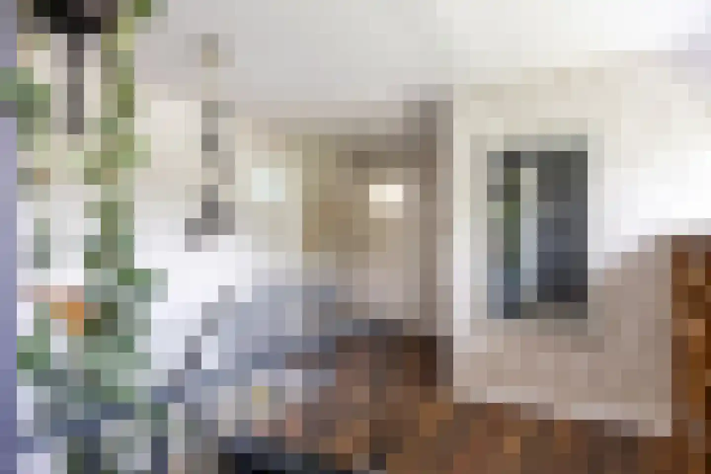 Noorderweg 3 Marum thumbnail 55