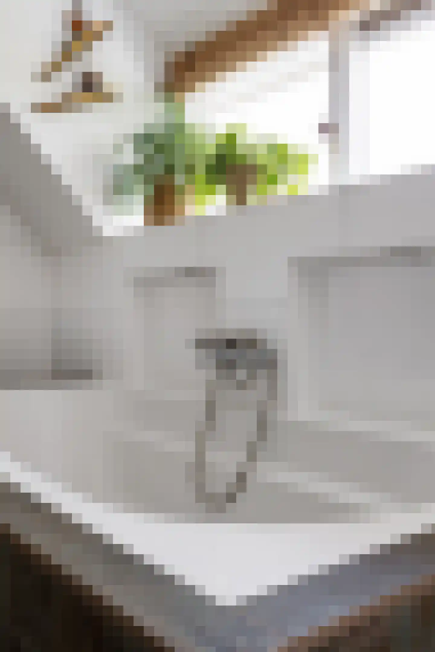 Noorderweg 3 Marum thumbnail 62