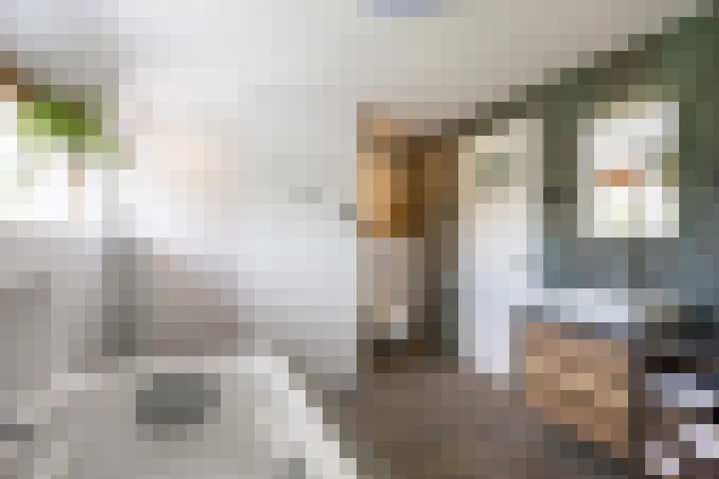 Noorderweg 3 Marum thumbnail 64