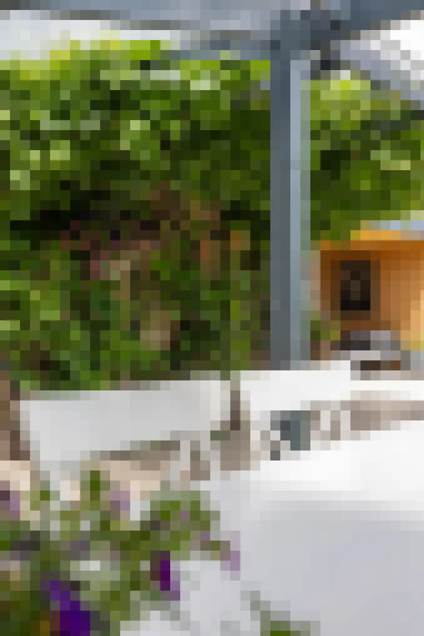 Noorderweg 3 Marum thumbnail 68