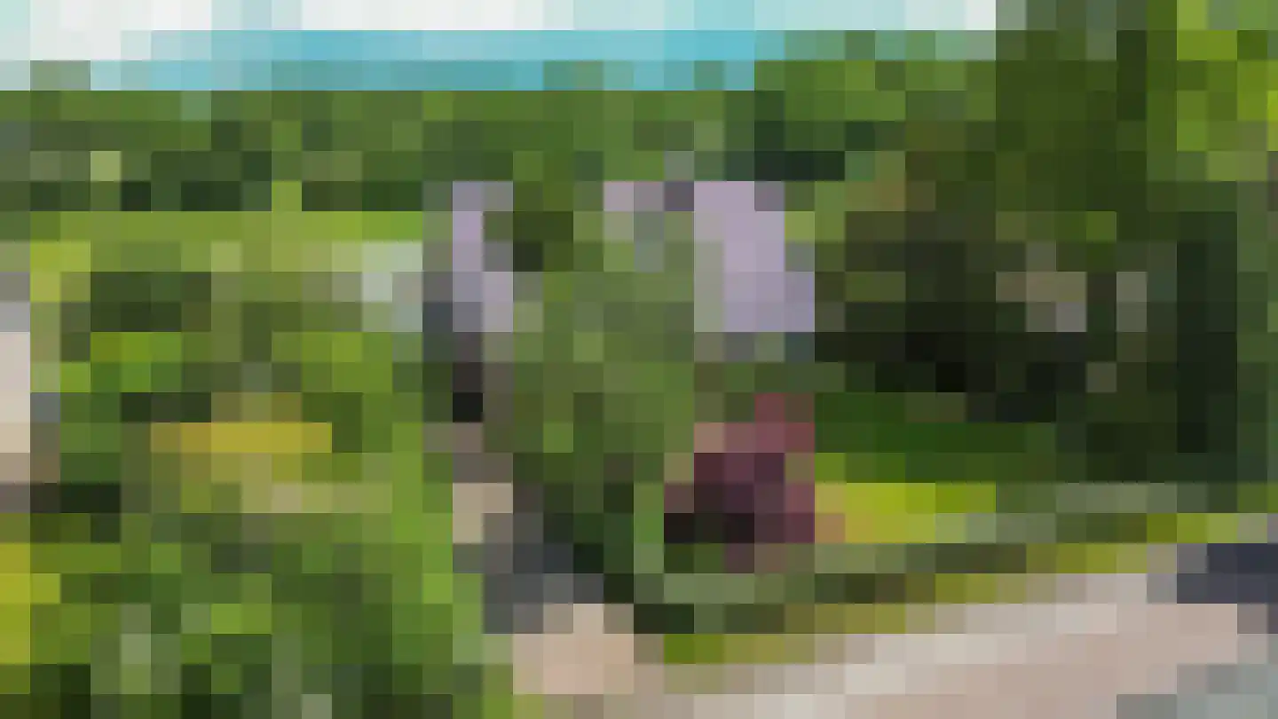 Noorderweg 3 Marum thumbnail 7