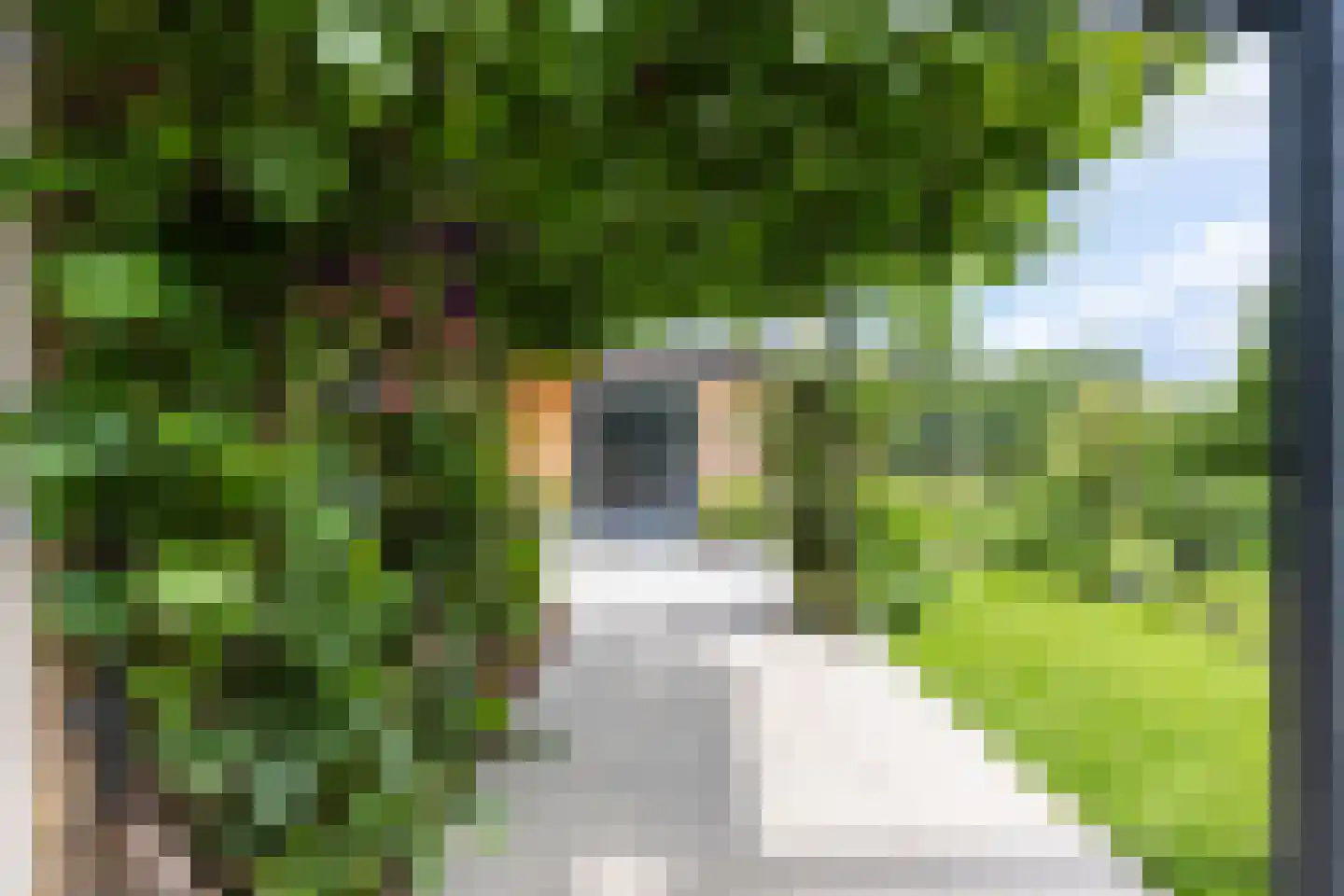 Noorderweg 3 Marum thumbnail 70