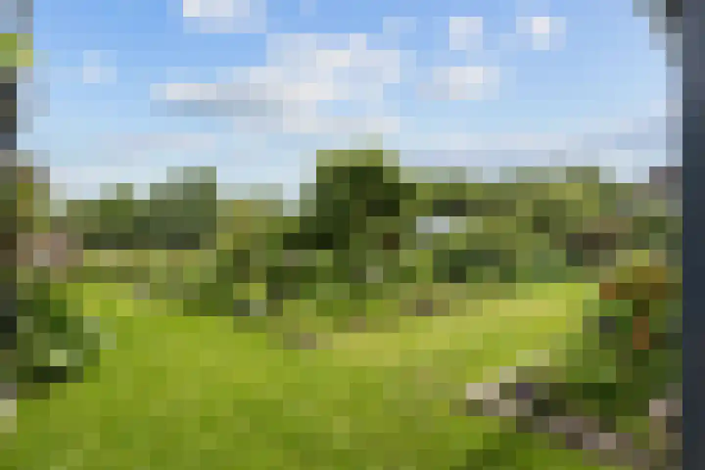 Noorderweg 3 Marum thumbnail 71