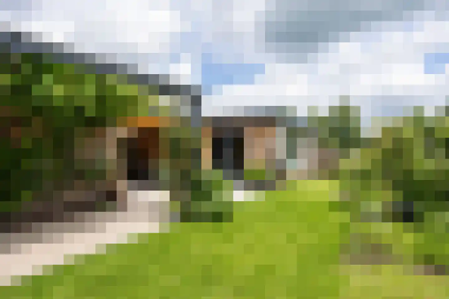 Noorderweg 3 Marum thumbnail 72