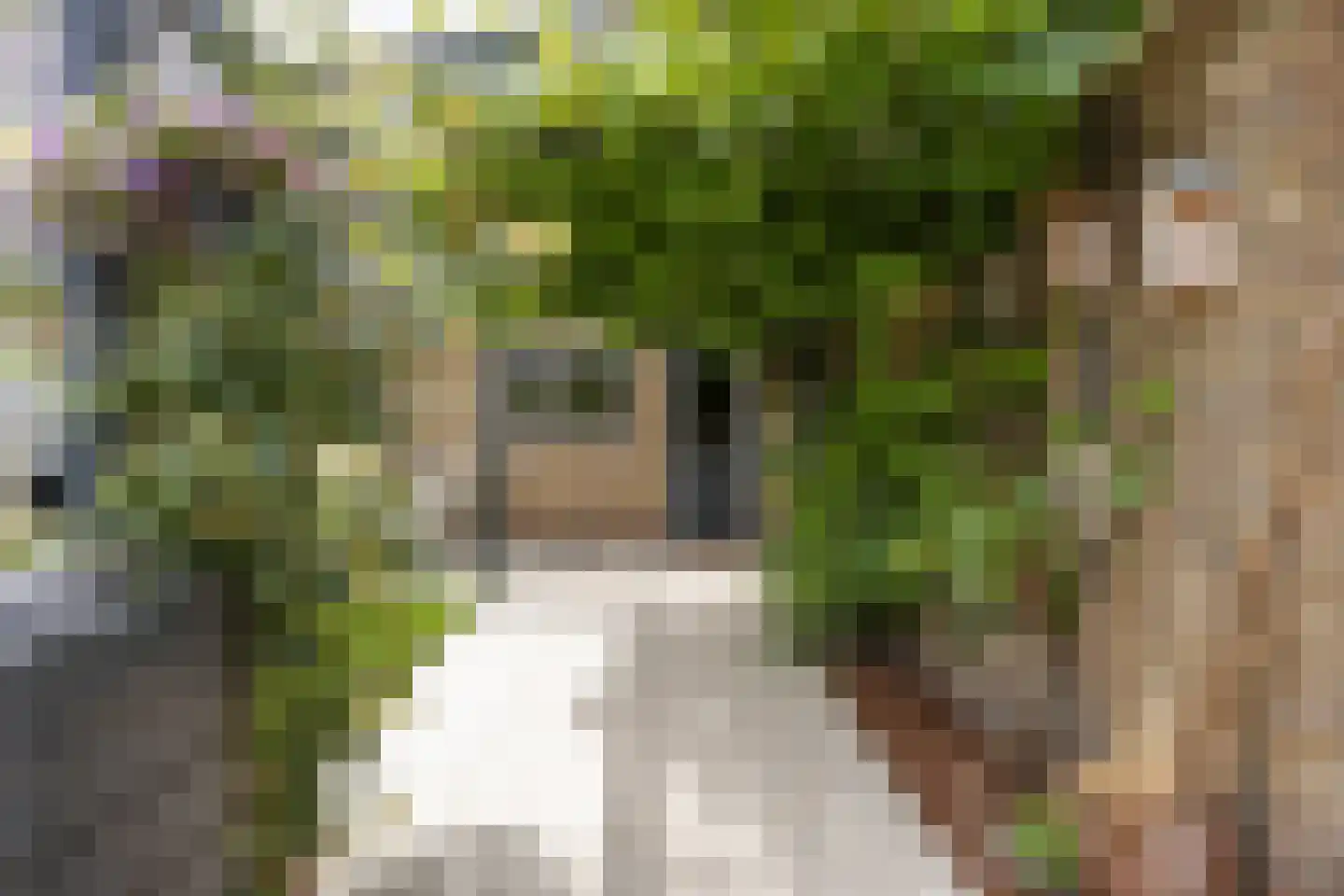 Noorderweg 3 Marum thumbnail 78