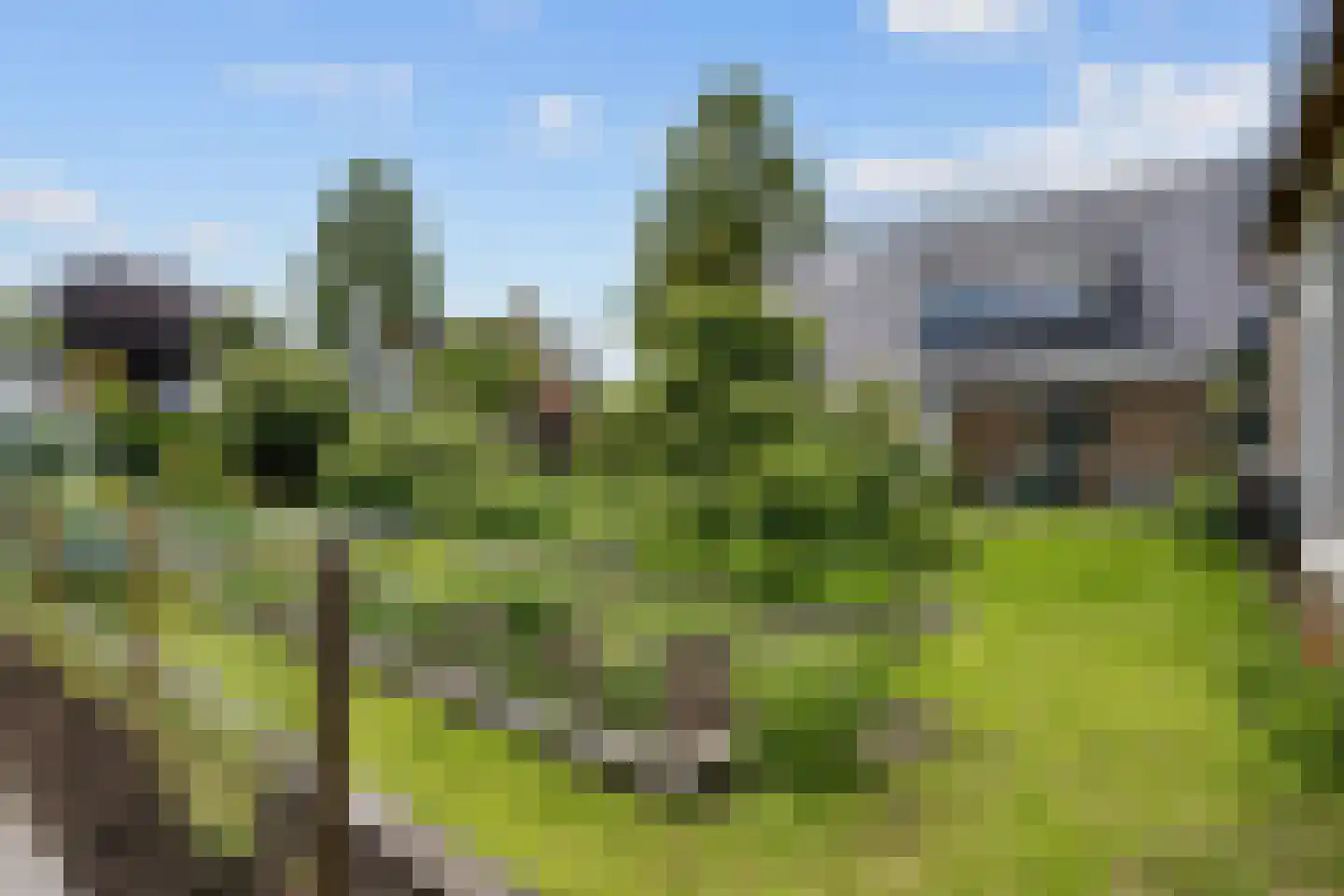 Noorderweg 3 Marum thumbnail 81